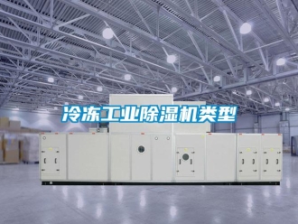 行業新聞冷凍工業除濕機類型