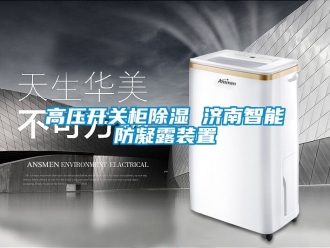 行業新聞高壓開關柜除濕 濟南智能防凝露裝置