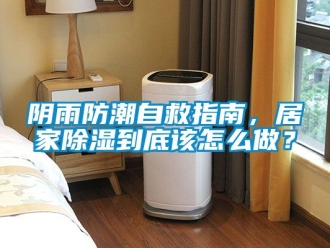 常見問題陰雨防潮自救指南，居家除濕到底該怎么做？
