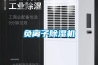 負離子除濕機