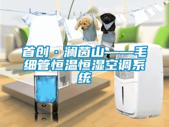 知識百科首創·瀾茵山——毛細管恒溫恒濕空調系統