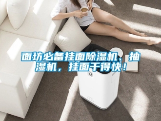 行業(yè)新聞面坊必備掛面除濕機(jī)、抽濕機(jī)，掛面干得快！