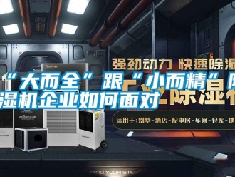 常見(jiàn)問(wèn)題“大而全”跟“小而精”除濕機(jī)企業(yè)如何面對(duì)
