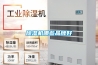 除濕機哪些品牌好