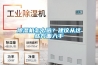 除濕機怎么選？建議從這些方面入手