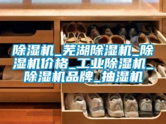 常見問題除濕機_蕪湖除濕機_除濕機價格_工業除濕機_除濕機品牌_抽濕機