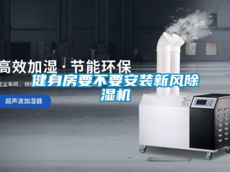 行業新聞健身房要不要安裝新風除濕機