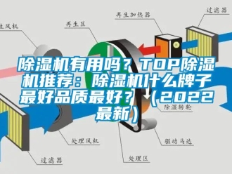 行業(yè)新聞除濕機(jī)有用嗎？TOP除濕機(jī)推薦：除濕機(jī)什么牌子最好品質(zhì)最好？（2022最新）