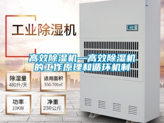 行業新聞高效除濕機—高效除濕機的工作原理和循環機制