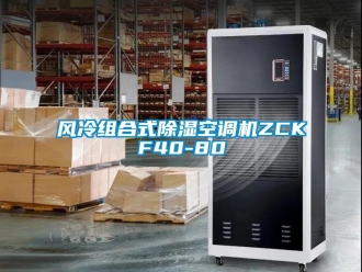 行業新聞風冷組合式除濕空調機ZCKF40-80