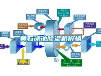 企業新聞黃石泳池除濕機價格