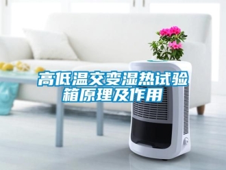 常見問題高低溫交變濕熱試驗箱原理及作用