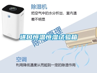 知識(shí)百科進(jìn)口恒溫恒濕試驗(yàn)箱