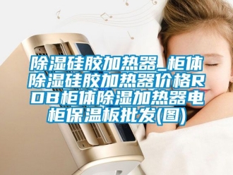 企業新聞除濕硅膠加熱器_柜體除濕硅膠加熱器價格RDB柜體除濕加熱器電柜保溫板批發(圖)