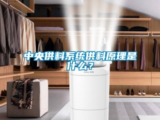 知識百科中央供料系統供料原理是什么？