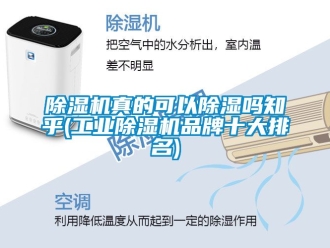 常見問題除濕機真的可以除濕嗎知乎(工業除濕機品牌十大排名)