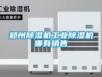 常見問題鄭州除濕機工業除濕機哪有銷售