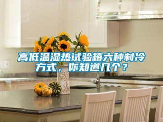 常見問題高低溫濕熱試驗箱六種制冷方式，你知道幾個？