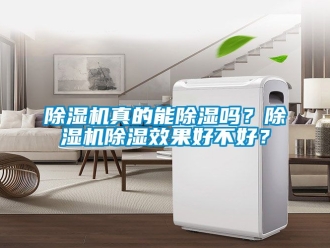 行業(yè)新聞除濕機(jī)真的能除濕嗎？除濕機(jī)除濕效果好不好？