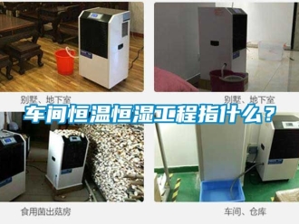 知識(shí)百科車(chē)間恒溫恒濕工程指什么？