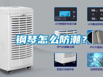 常見問題鋼琴怎么防潮？
