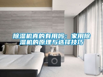 常見問題除濕機真的有用嗎：家用除濕機的原理與選擇技巧