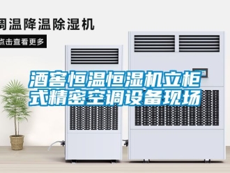 知識百科酒窖恒溫恒濕機立柜式精密空調設備現場