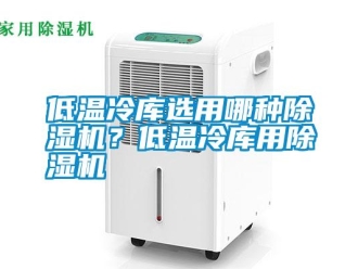 企業新聞低溫冷庫選用哪種除濕機？低溫冷庫用除濕機