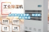 外出擔心家里潮，除濕機鎮宅除濕