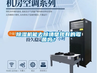 行業(yè)新聞除濕機(jī)能去除墻壁現(xiàn)有的霉菌嗎？