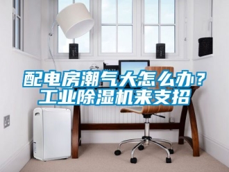 常見問題配電房潮氣大怎么辦？工業(yè)除濕機(jī)來支招