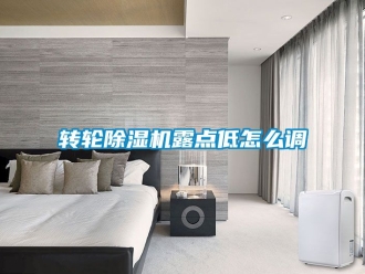 常見問題轉輪除濕機露點低怎么調