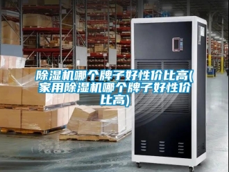 常見問題除濕機哪個牌子好性價比高(家用除濕機哪個牌子好性價比高)