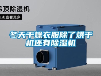 企業(yè)新聞冬天干燥衣服除了烘干機還有除濕機