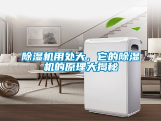 行業(yè)新聞除濕機(jī)用處大，它的除濕機(jī)的原理大揭秘