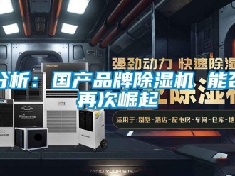 企業新聞分析：國產品牌除濕機 能否再次崛起