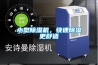 小型除濕機，快速除濕更舒適