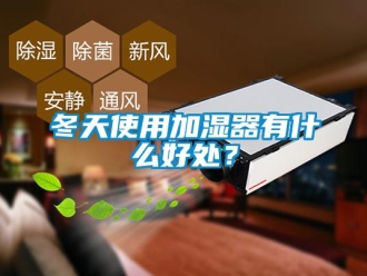 企業新聞冬天使用加濕器有什么好處？