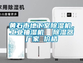 企業新聞黃石市地下室除濕機，工業抽濕機  除濕器廠家 價格