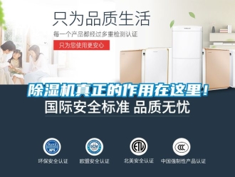 行業(yè)新聞除濕機(jī)真正的作用在這里！