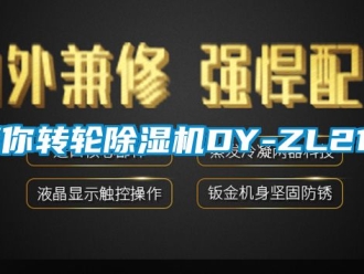 常見問題迷你轉輪除濕機DY-ZL210