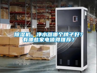 企業(yè)新聞除濕機(jī)，凈水器哪個(gè)牌子好？有哪些家電值得推薦？