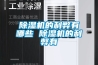 除濕機的利弊有哪些 除濕機的利弊有