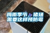 梅雨季節，豬場需要這樣預防霉