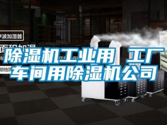 常見問題除濕機工業(yè)用 工廠車間用除濕機公司