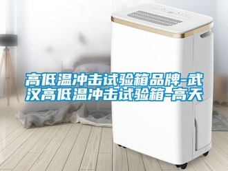 常見問題高低溫沖擊試驗箱品牌-武漢高低溫沖擊試驗箱-高天