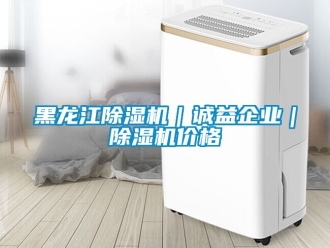 企業新聞黑龍江除濕機｜誠益企業｜除濕機價格