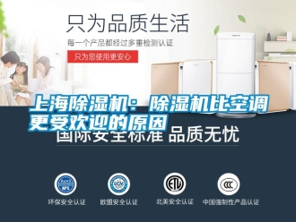 知識(shí)百科上海除濕機(jī)：除濕機(jī)比空調(diào)更受歡迎的原因