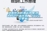 河南防水防潮氣泡膜(我為自己產品代言，2022已更新)