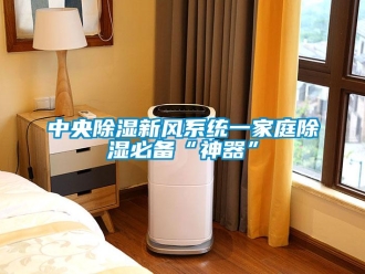 知識百科中央除濕新風系統一家庭除濕必備“神器”